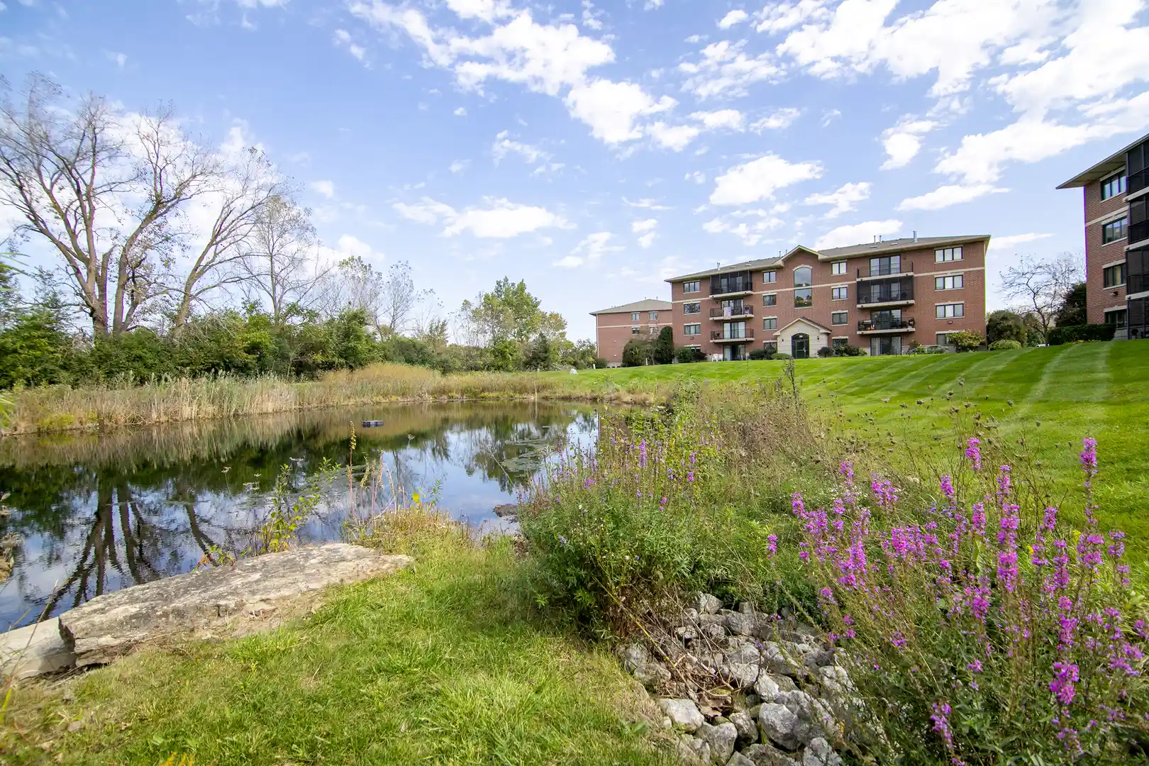 Listing Photo 1 - Condo for sale in 6840 W Winding Trl located at 6840 W Winding Trl, Oak Forest, IL 60452 - Unit #301