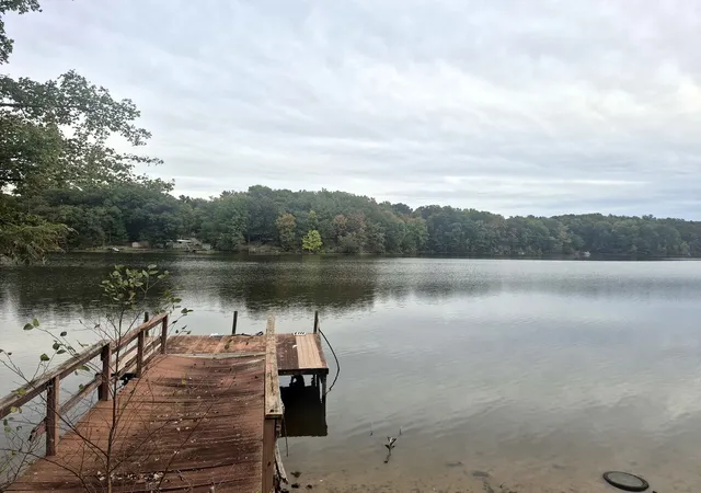 Photo 3 of Single family home for sale at 0000 Lakeview Rd, Galatia, IL 62935 | MLS# 12782801 | Listing updated on 2026-10-17