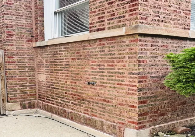 Listing Photo 5 - Condo for sale in building located at 4818 W Fletcher St, Chicago, IL 60641