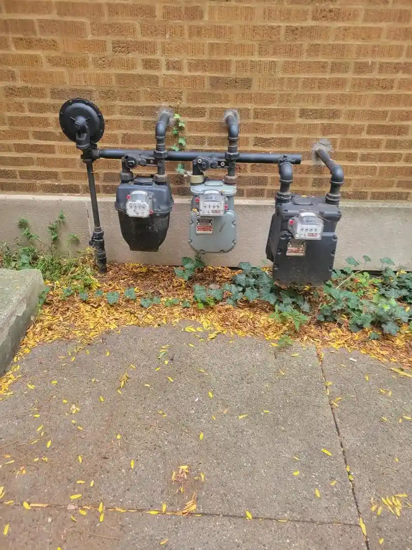 Listing Photo 19 - Condo for sale in 1742 W Wallen Ave located at 1742 W Wallen Ave, Chicago, IL 60626 - Unit 1742 W Wallen Ave