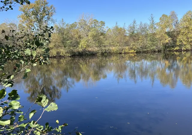 Photo 3 of Land for sale at 40315 N Belle Foret Dr, Wadsworth, IL 60083 | MLS# 12785671 | Listing updated on 2026-10-21