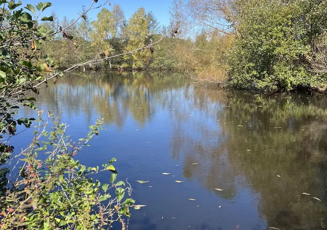 Photo 3 of Land for sale at 40315 N Belle Foret Dr, Wadsworth, IL 60083 | MLS# 12785671 | Listing updated on 2026-10-21