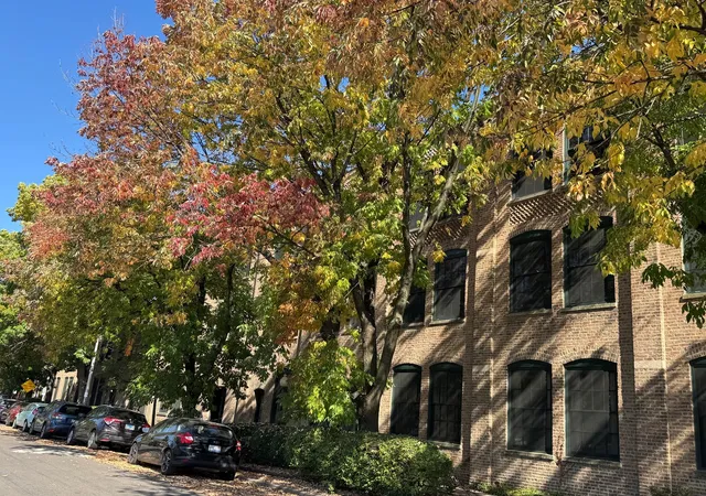 Photo 1 of Condo for sale at 5235 N Ravenswood Ave #11, Chicago, IL 60640 | MLS# 12785786 | Listing updated on 2026-10-22