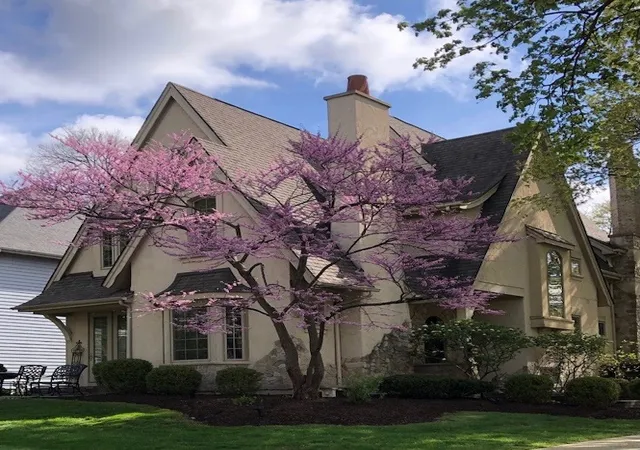 Photo 2 of Single family home for sale at 706 N Ellsworth St, Naperville, IL 60563 | MLS# 12786966 | Listing updated on 2026-10-22