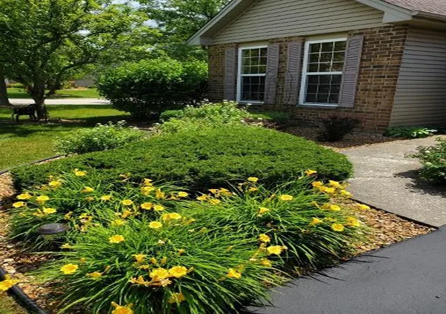 Photo 3 of Single family home for sale at 17033 Roosevelt Ave, Lockport, IL 60441 | MLS# 12789431 | Listing updated on 2026-10-23