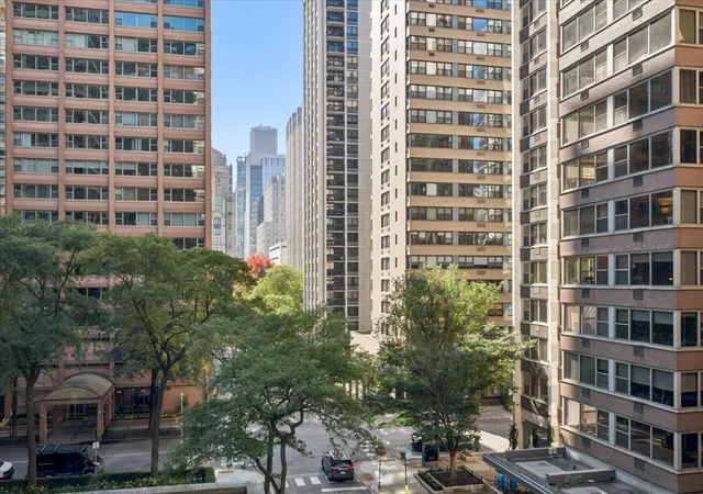 Photo 3 of Townhouse for sale at 253 E Delaware Pl #5H, Chicago, IL 60611 | MLS# 12791266 | Listing updated on 2026-10-22