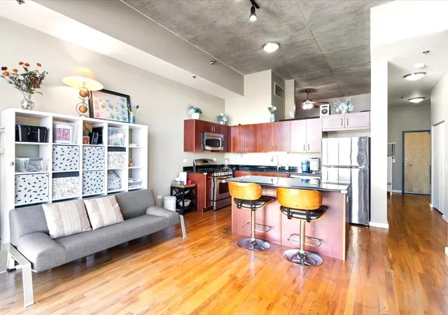 Photo 4 of Condo for sale at 1620 S Michigan Ave #1217, Chicago, IL 60616 | MLS# 12791324 | Listing updated on 2026-10-23