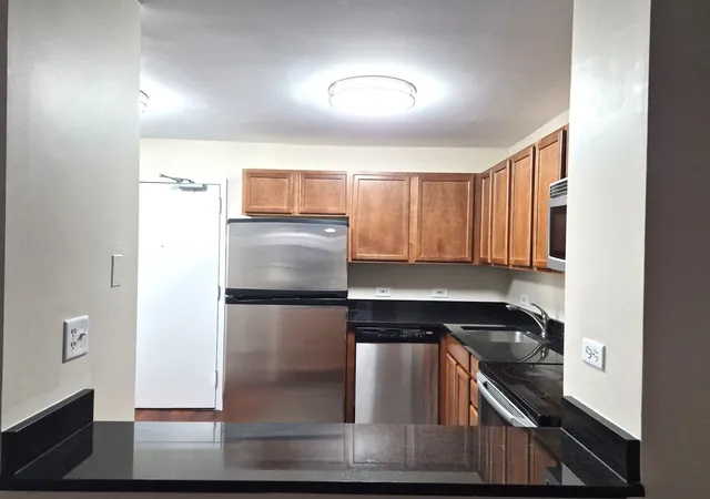 Photo 4 of Condo for sale at 222 E Pearson St #1107, Chicago, IL 60611 | MLS# 12791491 | Listing updated on 2026-10-22