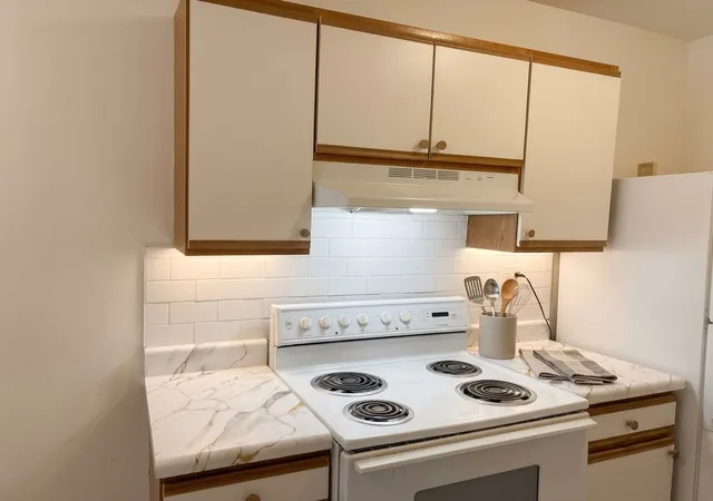 Listing Photo 3 - Condo for sale in building located at 1810 Hemlock Pl, Schaumburg, IL 60173 - Unit #204