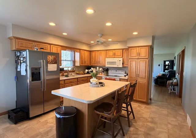 Photo 3 of Single family home for sale at 407 W Santee St, Sublette, IL 61367 | MLS# 12793258 | Listing updated on 2026-10-29