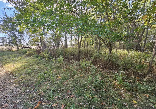 Photo 2 of Land for sale at 0000 7th Street, Nason, IL 62816 | MLS# 12793517 | Listing updated on 2026-10-30