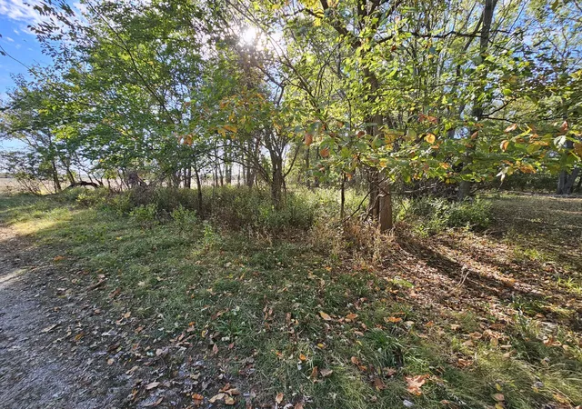 Photo 3 of Land for sale at 0000 7th Street, Nason, IL 62816 | MLS# 12793517 | Listing updated on 2026-10-30