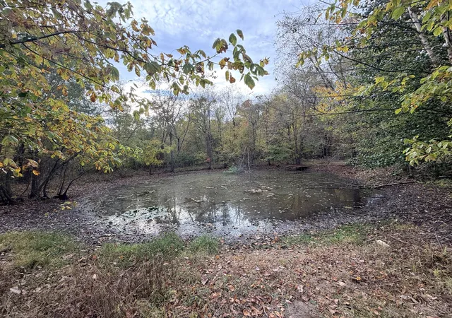 Photo 3 of Land for sale at 11851 E Cypress Rd, Carbondale, IL 62901 | MLS# 12795792 | Listing updated on 2026-10-29