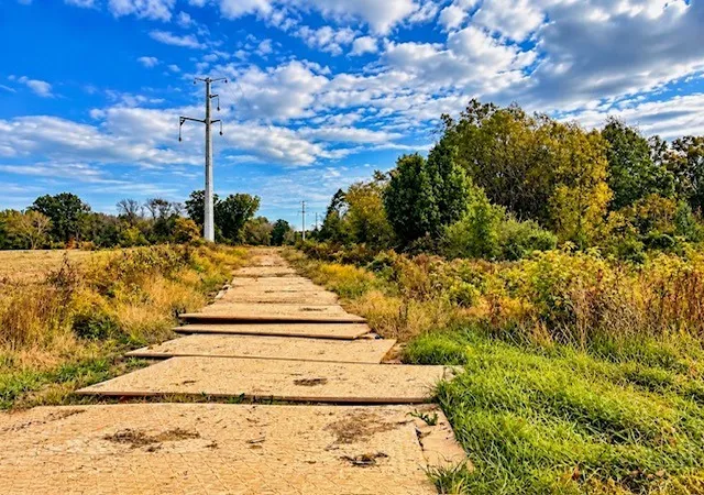 Photo 2 of Land for sale at Tbd E Reynolds Ln, Mt Vernon, IL 62864 | MLS# 12795969 | Listing updated on 2026-10-28
