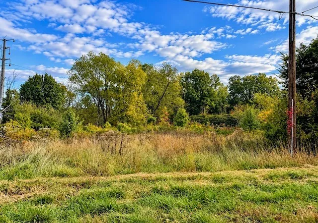 Photo 3 of Land for sale at Tbd E Reynolds Ln, Mt Vernon, IL 62864 | MLS# 12795969 | Listing updated on 2026-10-28