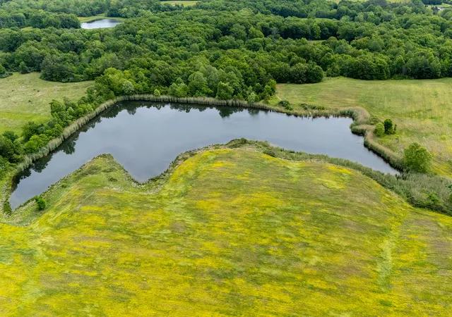 Photo 1 of Land for sale at 000 Mcgeesville Rd N, Carbondale, IL 62902 | MLS# 12796081 | Listing updated on 2026-10-28