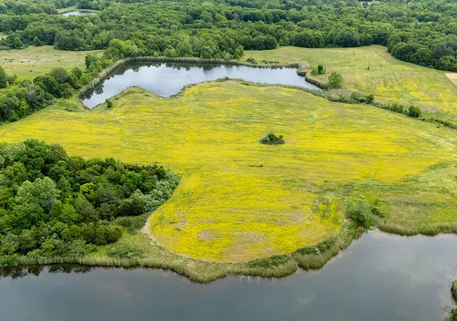 Photo 2 of Land for sale at 000 Mcgeesville Rd N, Carbondale, IL 62902 | MLS# 12796081 | Listing updated on 2026-10-28