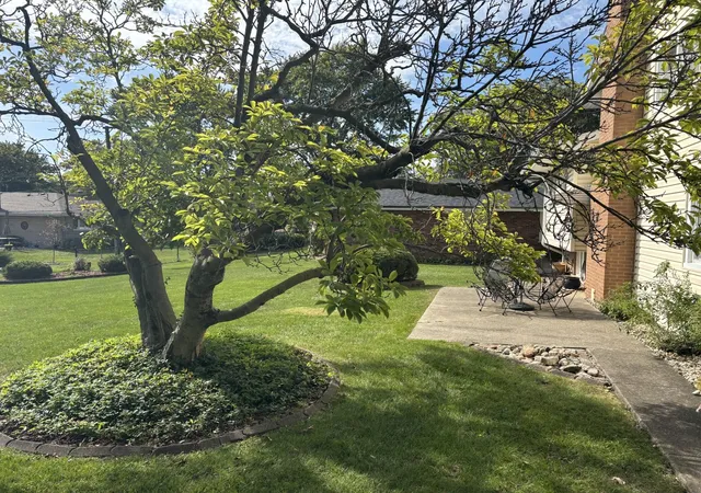 Photo 2 of Single family home for sale at 1215 E 171st Court, South Holland, IL 60473 | MLS# 12797050 | Listing updated on 2026-10-29