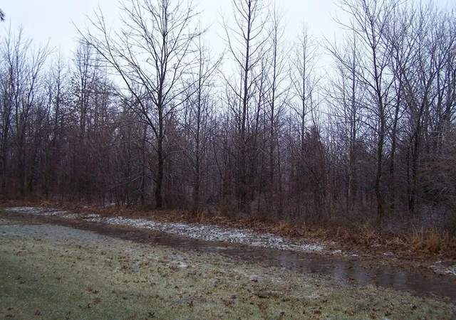 Photo 1 of Land for sale at 0000 Adams Dr, Marion, IL 62959 | MLS# EB316591 | Listing updated on 2026-05-27