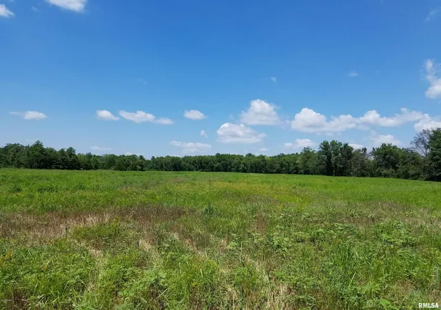 Photo 1 of Land for sale at 1020 W Mccord St, Centralia, IL 62801 | MLS# EB422128 | Listing updated on 2026-05-25