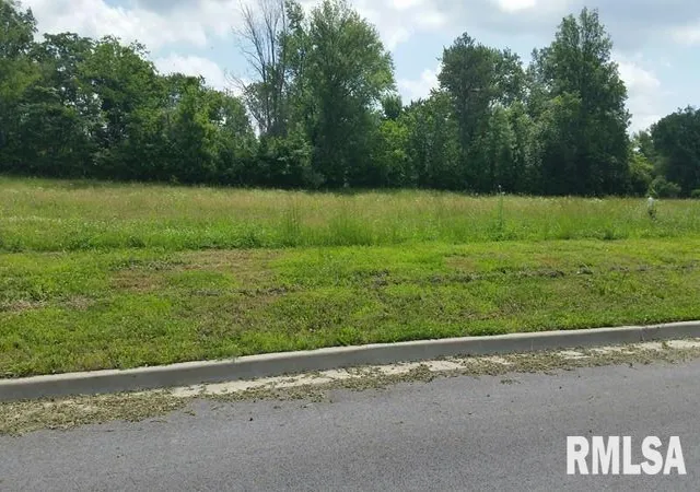 Homes for sale in Carbondale, IL | Lot 2 Financial Park, Carbondale, IL 62901 | MLS# EB423621