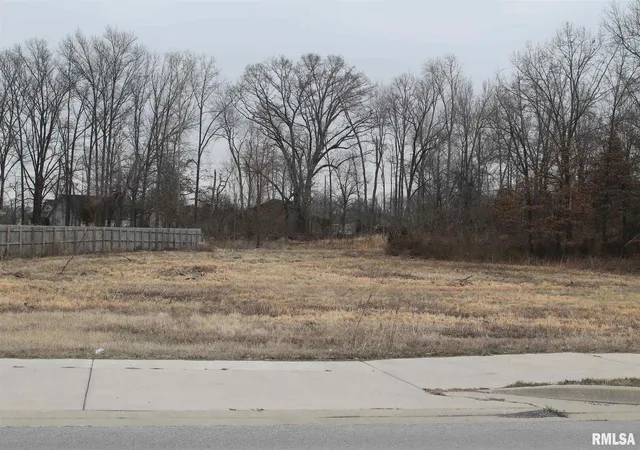 Photo 1 of Land for sale at 0005 N Frontage Rd, Crainville, IL 62918 | MLS# EB432849 | Listing updated on 2026-05-25