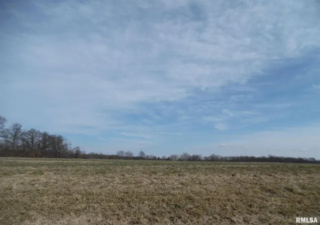 Photo 1 of Land for sale at Tract 1 N Mcdermott Ln, Mount Vernon, IL 62864 | MLS# EB432959 | Listing updated on 2026-05-25