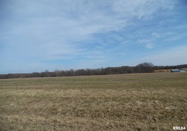 Photo 1 of Land for sale at Tract 3 N Mcdermott Ln, Mount Vernon, IL 62864 | MLS# EB432961 | Listing updated on 2026-05-25