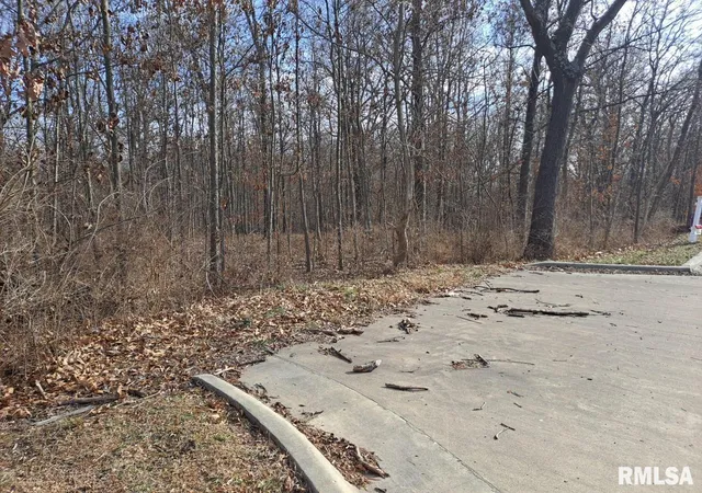 Photo 2 of Land for sale at 0000 N 27th St, Mount Vernon, IL 62864 | MLS# EB443257 | Listing updated on 2026-05-25