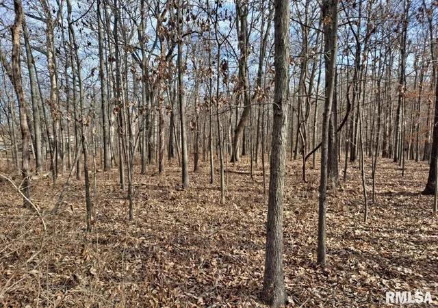 Photo 9 of Land for sale at 0000 N 27th St, Mount Vernon, IL 62864 | MLS# EB443257 | Listing updated on 2026-05-25