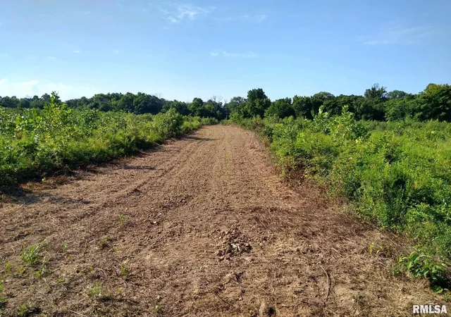 2nd image of 39 Bushwack Rd, Golconda, IL 62938 | MLS# EB445933