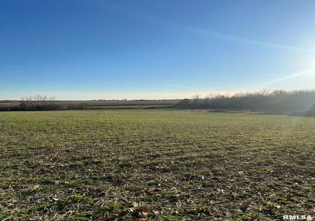 Photo 2 of Land for sale at 0000 New Hope Church Rd, Benton, IL 62812 | MLS# EB456530 | Listing updated on 2026-07-19