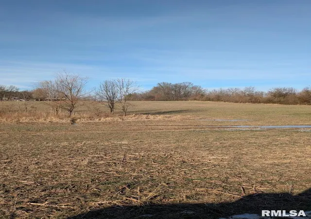 Photo 4 of Land for sale at 0000 New Hope Church Rd, Benton, IL 62812 | MLS# EB456530 | Listing updated on 2026-07-19
