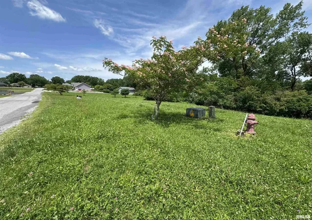 Photo 2 of Land for sale at 000 Yellow Brick Rd, Du Quoin, IL 62832 | MLS# EB458549 | Listing updated on 2026-06-26