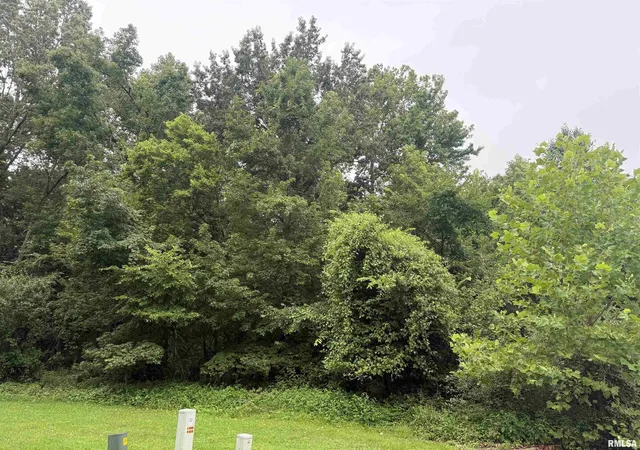 Photo 9 of Land for sale at Tbd Kokopelli Dr, Marion, IL 62959 | MLS# EB458894 | Listing updated on 2026-08-11