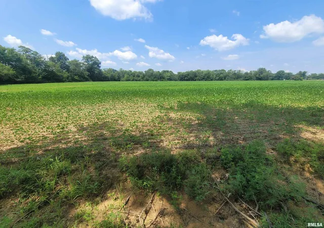 Photo 1 of Land for sale at 000 Jacob St, Dahlgren, IL 62828 | MLS# EB459286 | Listing updated on 2026-08-20