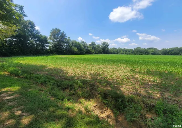 Photo 2 of Land for sale at 000 Jacob St, Dahlgren, IL 62828 | MLS# EB459286 | Listing updated on 2026-08-20