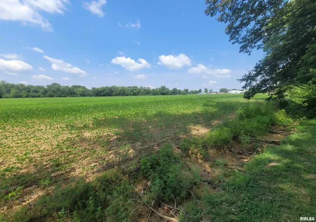 Photo 2 of Land for sale at 000 Jacob St, Dahlgren, IL 62828 | MLS# EB459286 | Listing updated on 2026-08-20