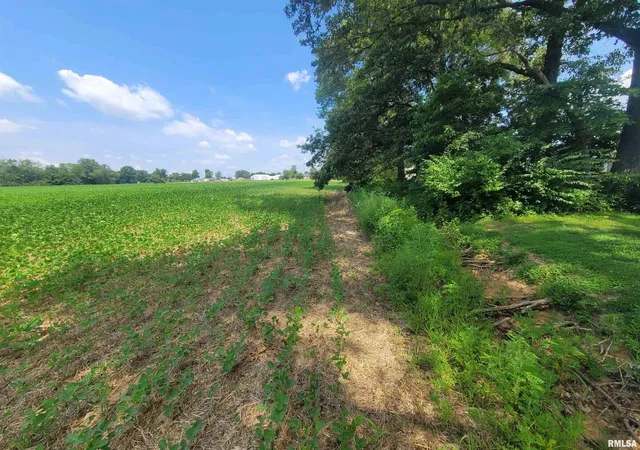 Photo 5 of Land for sale at 000 Jacob St, Dahlgren, IL 62828 | MLS# EB459286 | Listing updated on 2026-08-20