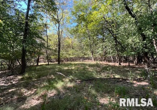 Photo 1 of Land for sale at 000 Barnett St, Carterville, IL 62918 | MLS# EB459858 | Listing updated on 2026-05-25