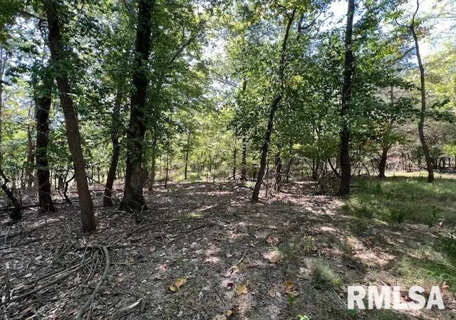 Photo 2 of Land for sale at 000 Barnett St, Carterville, IL 62918 | MLS# EB459858 | Listing updated on 2026-05-25