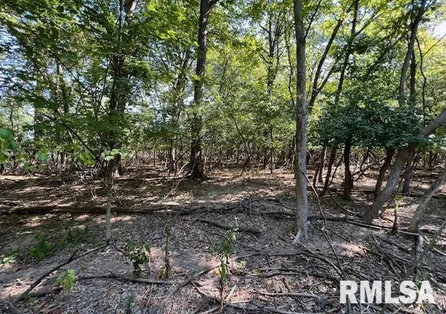 Photo 2 of Land for sale at 000 Barnett St, Carterville, IL 62918 | MLS# EB459858 | Listing updated on 2026-05-25
