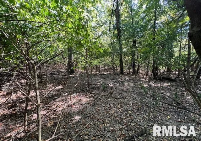 Photo 3 of Land for sale at 000 Barnett St, Carterville, IL 62918 | MLS# EB459858 | Listing updated on 2026-05-25