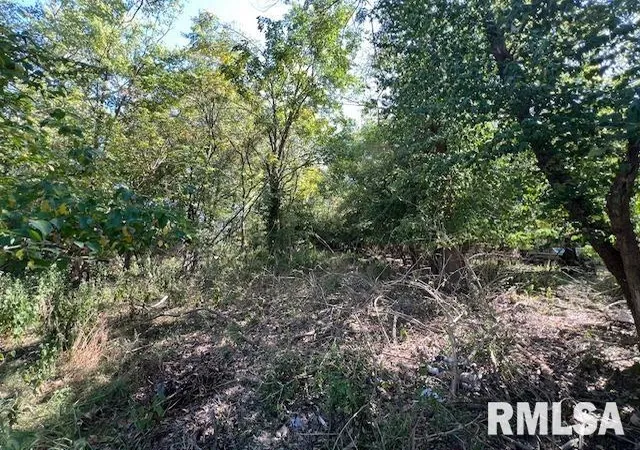 Photo 6 of Land for sale at 000 Barnett St, Carterville, IL 62918 | MLS# EB459858 | Listing updated on 2026-05-25