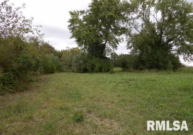 Photo 1 of Land for sale at Ooo Moore St, Eldorado, IL 62930 | MLS# EB460022 | Listing updated on 2026-06-23