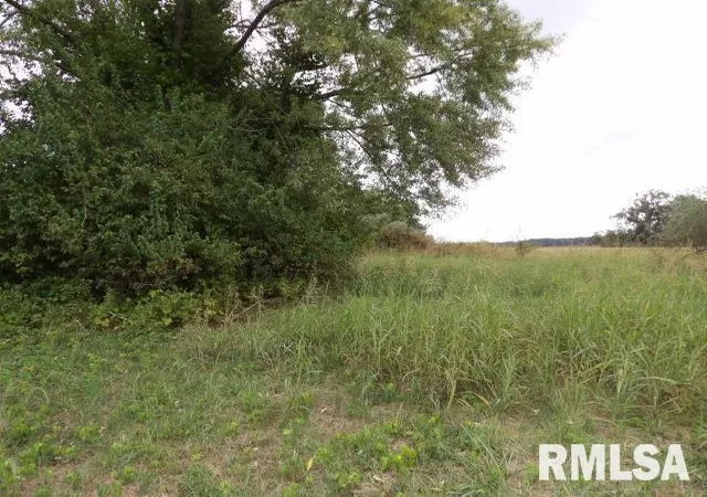 Photo 2 of Land for sale at Ooo Moore St, Eldorado, IL 62930 | MLS# EB460022 | Listing updated on 2026-06-23