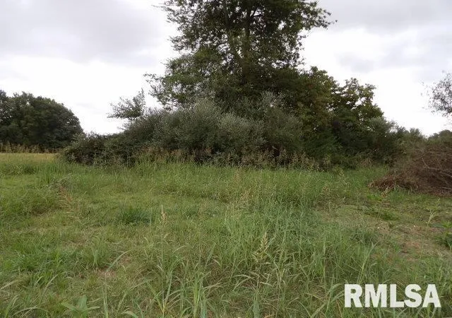 Photo 3 of Land for sale at Ooo Moore St, Eldorado, IL 62930 | MLS# EB460022 | Listing updated on 2026-06-23