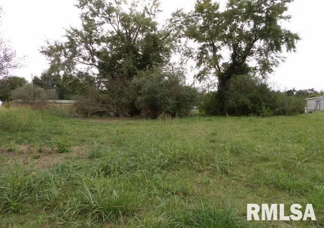 Photo 4 of Land for sale at Ooo Moore St, Eldorado, IL 62930 | MLS# EB460022 | Listing updated on 2026-06-23