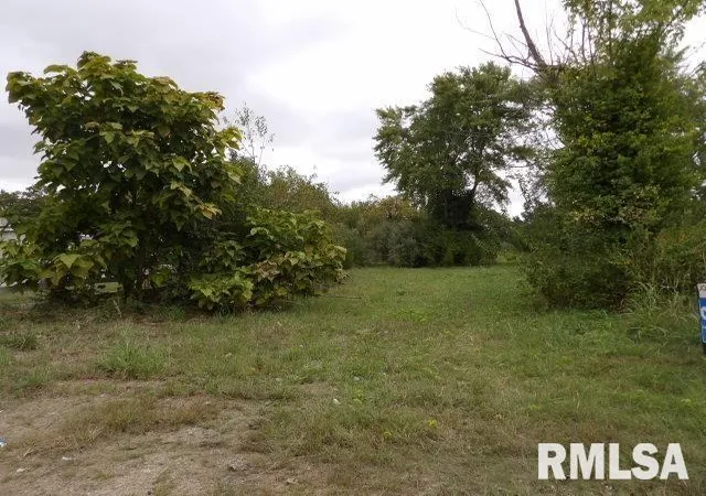 Photo 7 of Land for sale at Ooo Moore St, Eldorado, IL 62930 | MLS# EB460022 | Listing updated on 2026-06-23