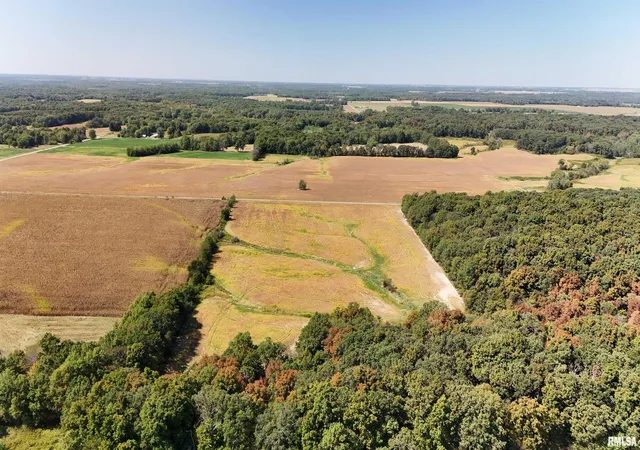 Photo 3 of Land for sale at 000 E Tallowtree Dr, Xenia, IL 62899 | MLS# EB460068 | Listing updated on 2026-08-03